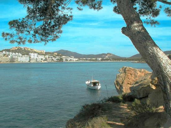 Cruz del descubrimiento